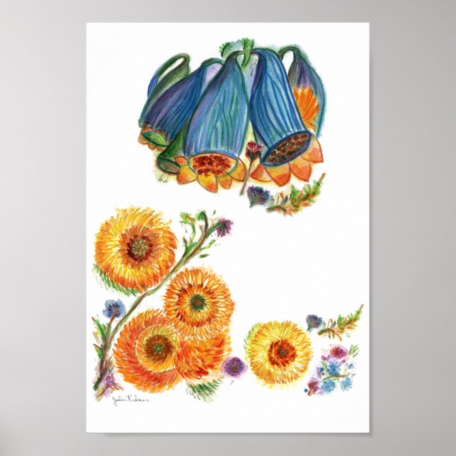 Poster Bluebells (Devant)