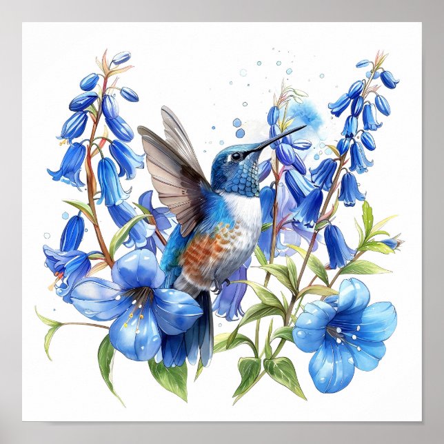 Poster Bluebells Hummingbird Aquarelle Imprimer (Devant)