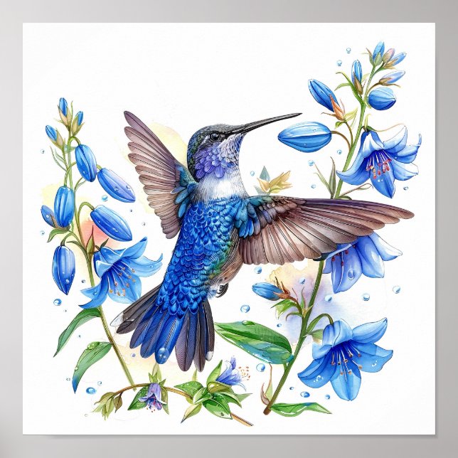 Poster Bluebells Hummingbird Aquarelle Imprimer (Devant)