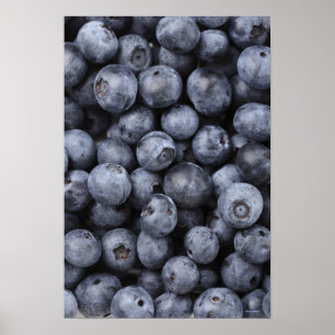 Poster Blueberges