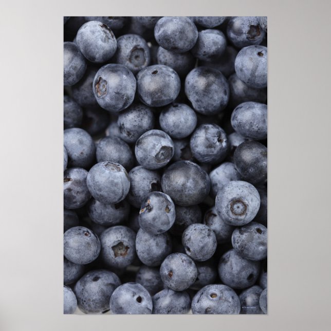 Poster Blueberges (Devant)