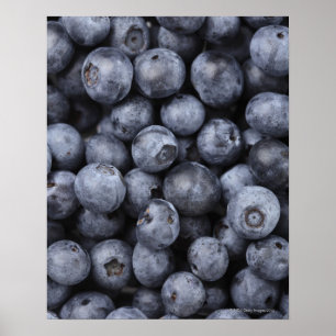 Poster Blueberges