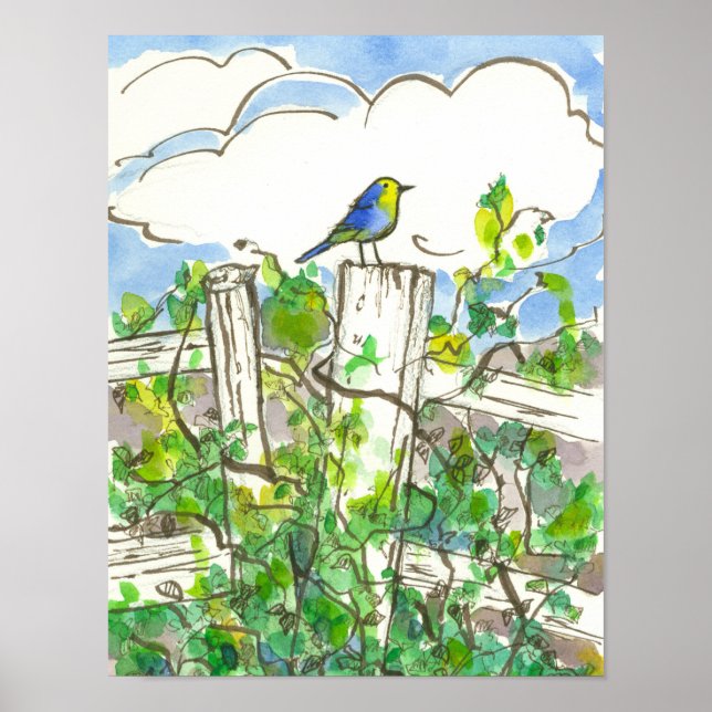Poster Bluebird Brambles Ciel bleu (Devant)