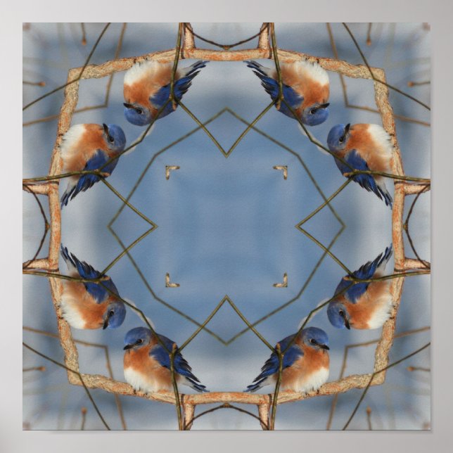 Poster Bluebird Nature Kaleidoscope Abstrait Art (Devant)