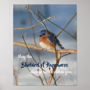 Poster Bluebird Of Happiness Inspiration