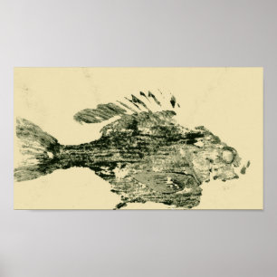 Poster Bluegill