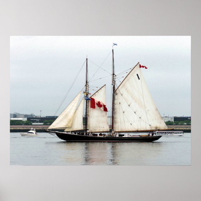 Poster Bluenose (Devant)