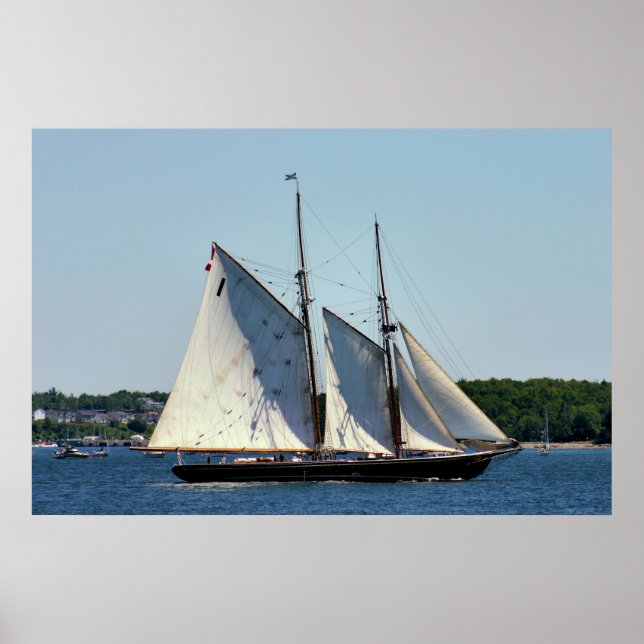 Poster Bluenose II Schooner (Devant)