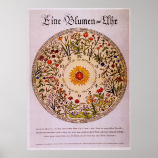 Poster Blumenuhr Horloge à fleurs Poster2