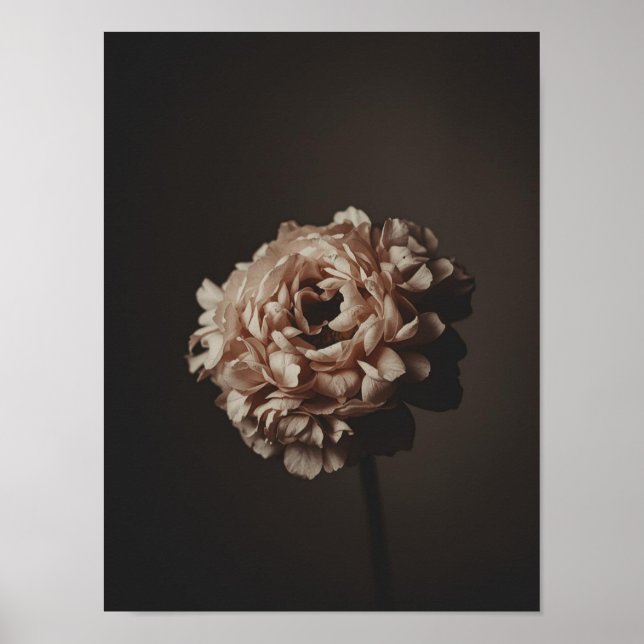 Poster Blush Bouquet Study (Devant)