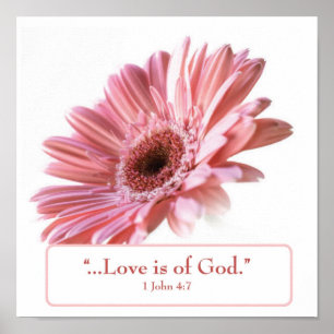 Poster "Blush" Daisy