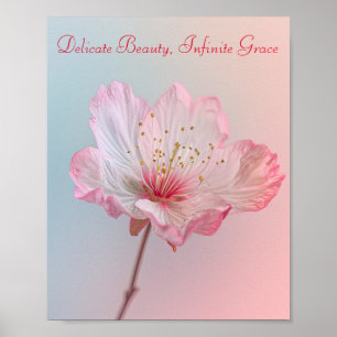 Poster Blush of Spring : Élégance de la fleur de cerisier