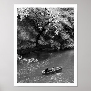 Poster Boating on Chidorigafuchi: Tokyo, Japan 