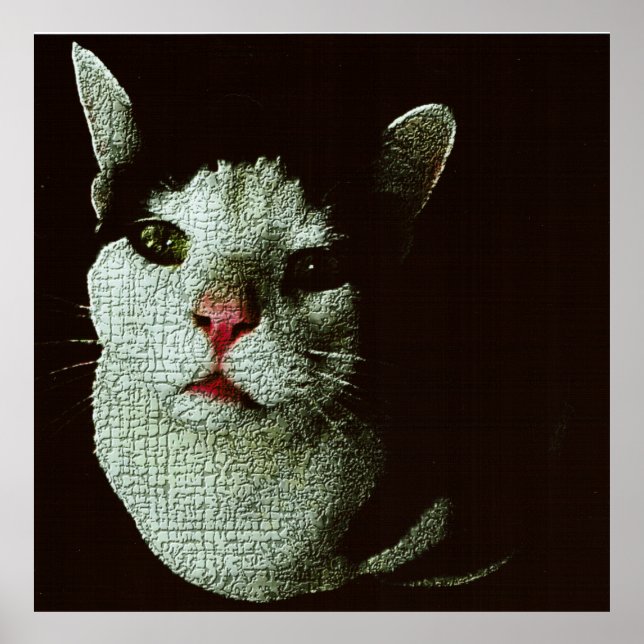 Poster Bob Curieux (Devant)