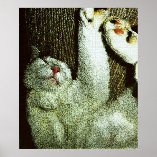 Poster Bob faisant une sieste