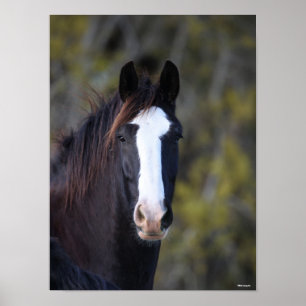 Poster Bob Langrish Capture d'écran du cheval de Shire