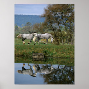 Poster Bob Langrish   Deux Bois Chauds Ensemble Par Lac