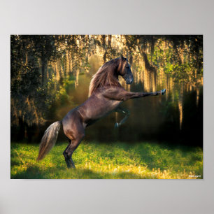 Poster Bob Langrish   Élevage de Chevaux de Montagne Roc