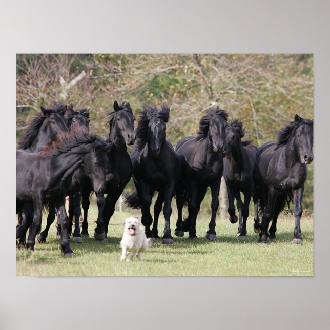 Poster Bob Langrish | Herd Black Meren Cheval et Chien (Devant)