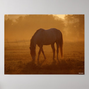 Poster Bob Langrish   Horse Grazing Sunrise