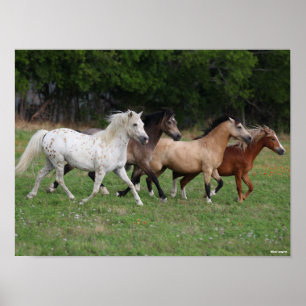 Poster Bob Langrish   Quatre Poney Courant Ensemble