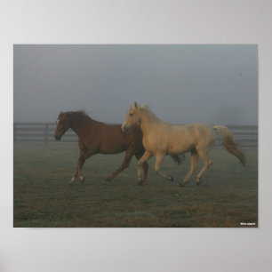Poster Bob Langrish   Tennessee Promenade Chevaux courir