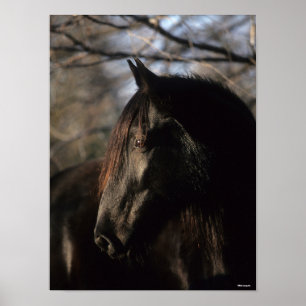 Poster Bob Langrish   Tennessee Walker noir