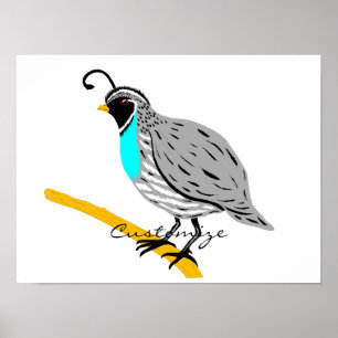Poster Bobwhite Quail à gorge bleue Thunder_Cove