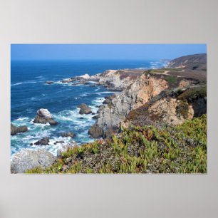 Poster Bodega Head Côte accidentée et sentier