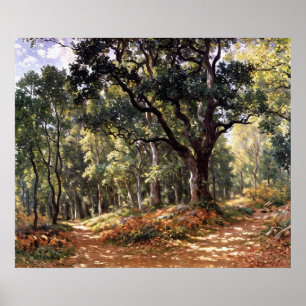 Poster Bodmer Oak
