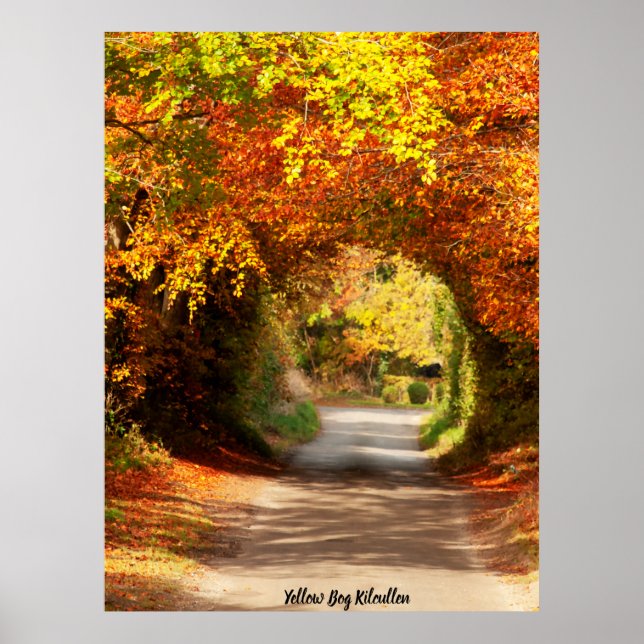 Poster Bog jaune Kilcullen (Devant)