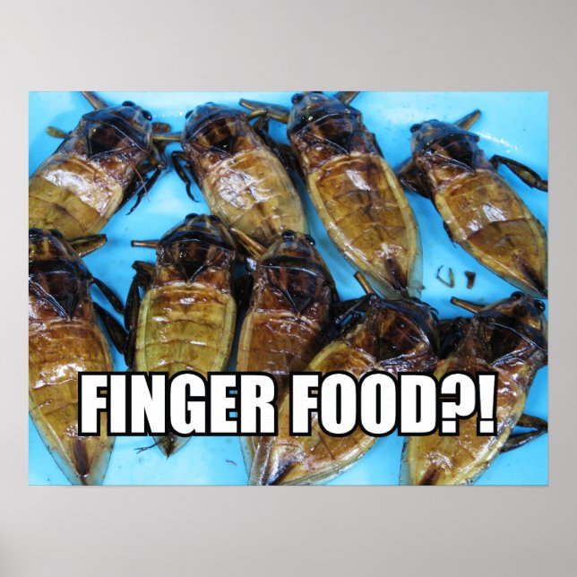 Poster Bogue d'eau géante frite (Maeng Daa) ... Alimentat (Devant)