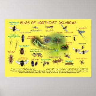 Poster bogues de l'affiche du nord-est de l'Oklahoma 19p
