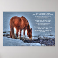 Boire Red Dun Ranch Horse & Equine Poem