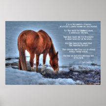 Boire Red Dun Ranch Horse & Equine Poem