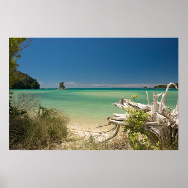 Poster Bois (Devant)