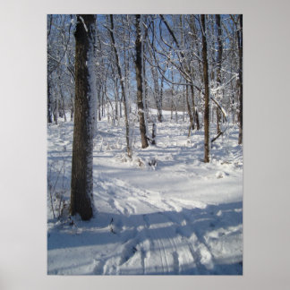 Poster Bois à neige