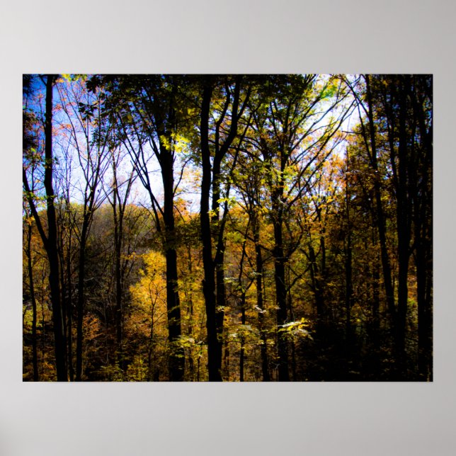 Poster Bois d'automne (Devant)