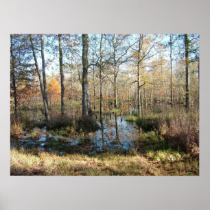 Poster Bois d'automne