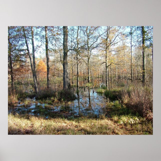 Poster Bois d'automne (Devant)