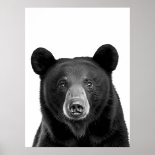Poster Bois de Black Bear Portrait Moderne noir blanc
