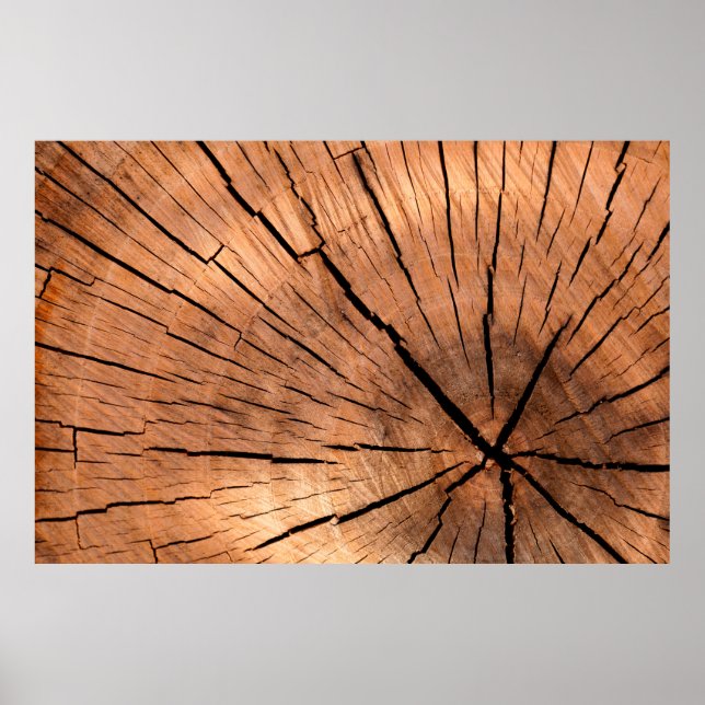 Poster Bois de bois de sciage coupe (Devant)