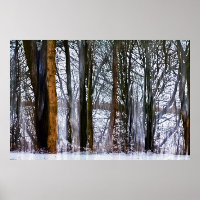 Poster bois de bouleau (Devant)
