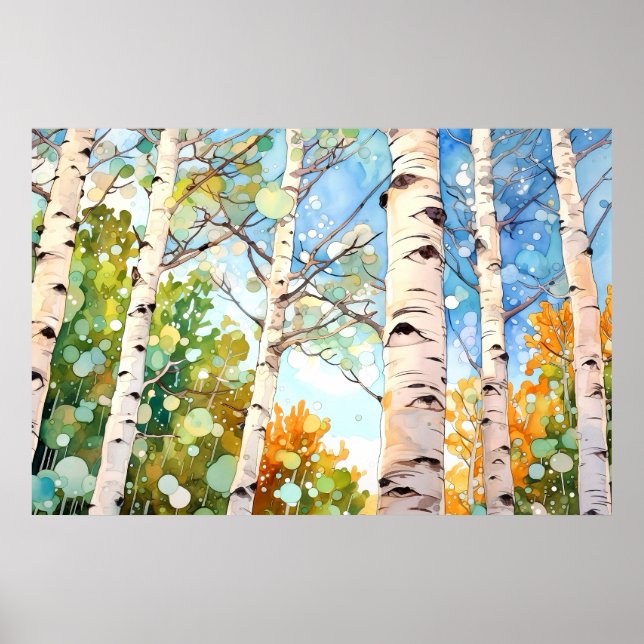 Poster Bois de bouleau peinture aquarelle Imprimer (Devant)