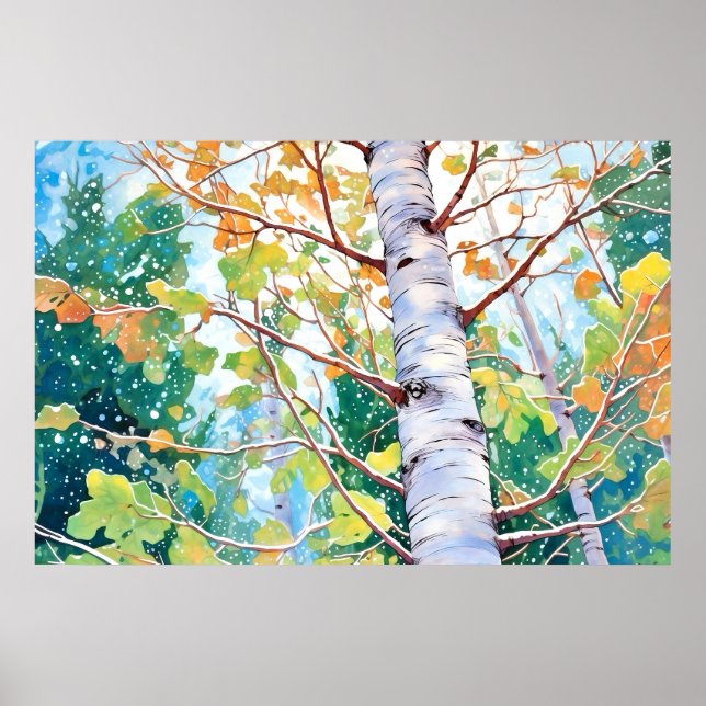 Poster Bois de bouleau peinture aquarelle Imprimer (Devant)