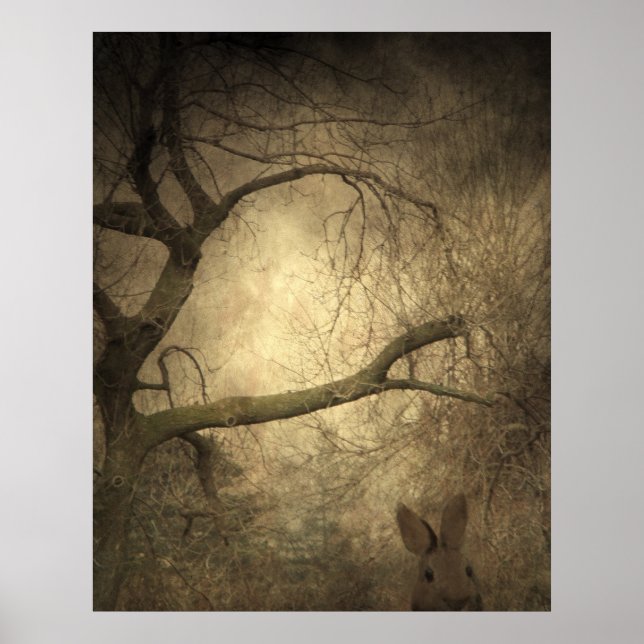 Poster Bois de lapin (Devant)
