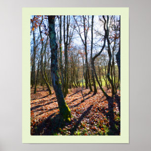Poster Bois d'hiver en France