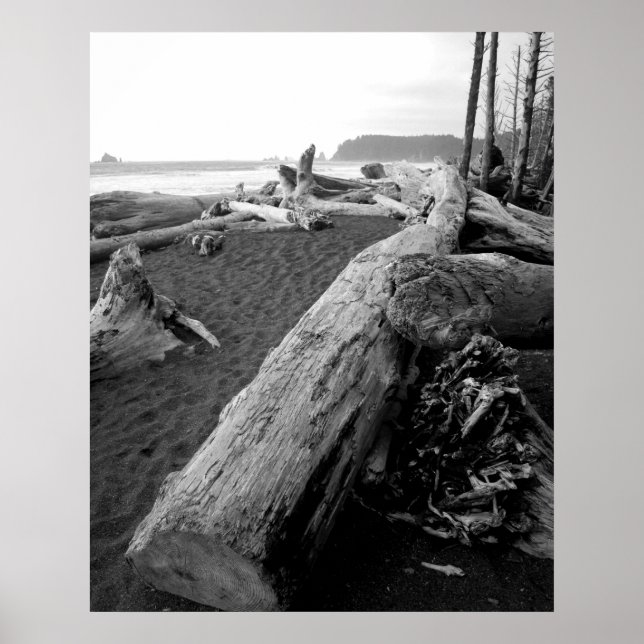 Poster bois d'oeuvre 2 (Devant)
