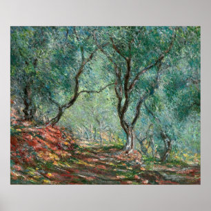 Poster Bois d'olivier dans les jardins de Moreno (par Mon