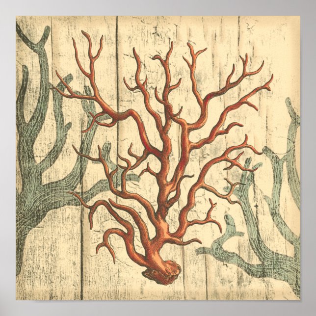 Poster Bois et petit corail (Devant)